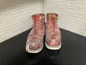 RED WING8875